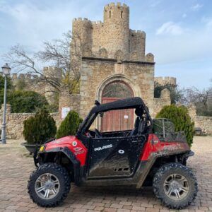 Buggy Polaris